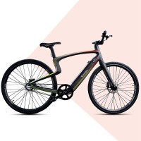 Smartes Carbon E-Bike (Voll Carbon, Smart-Fahrrad, Sprachsteuerung, Navi, App) Rainbow 50cm